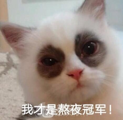 去眼袋手術(shù)果好不好