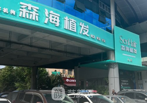 金華森海植發(fā)價格表分享