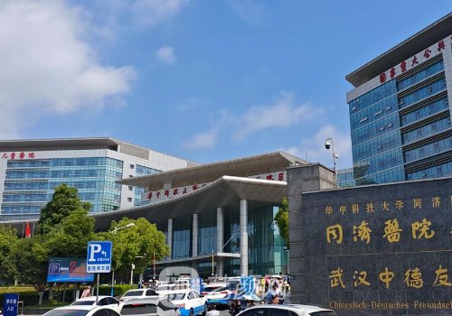 武漢同濟(jì)醫(yī)院整形外科專